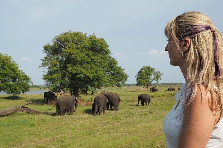 Sigiriya Rock and Wild Elephant Safari from Polonnaruwa