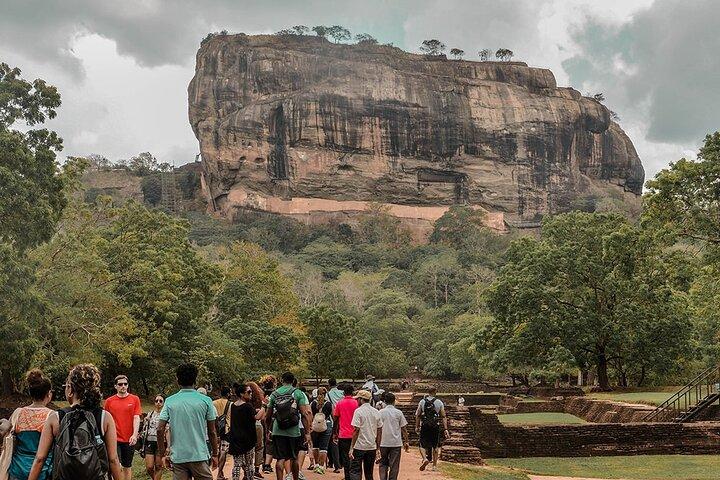 Sigiriya Rock and Wild Elephant Safari from Polonnaruwa