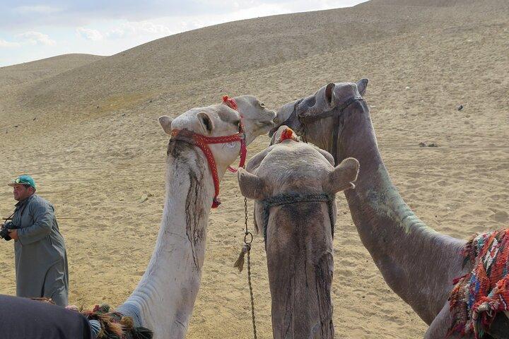 Private Cairo Tour: Giza Pyramids & Grand Egyptian Museum