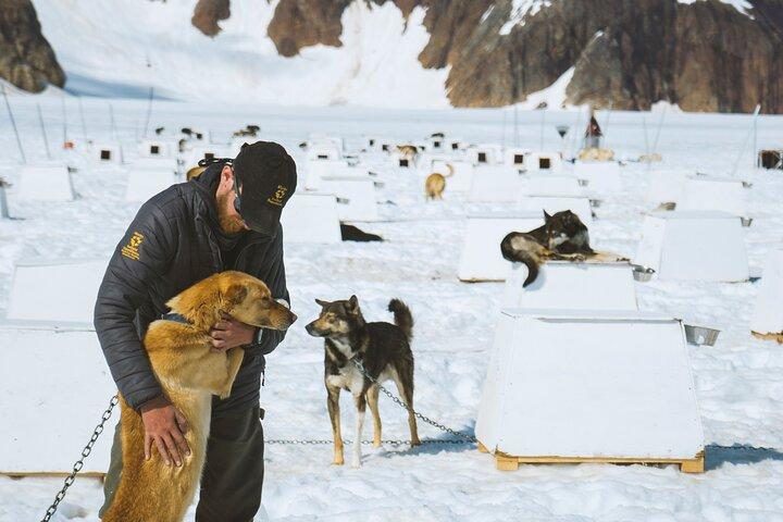 Helicopter to a Dogsledding Experience with a Glacier Landing