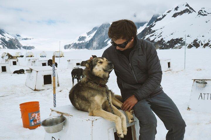 Helicopter to a Dogsledding Experience with a Glacier Landing