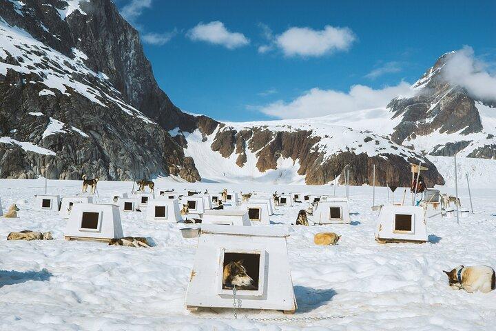 Helicopter To a Dogsledding Experience