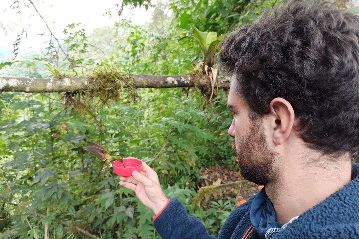Mindo Cloud Forest tour from Quito:waterfalls hummingbirds and +