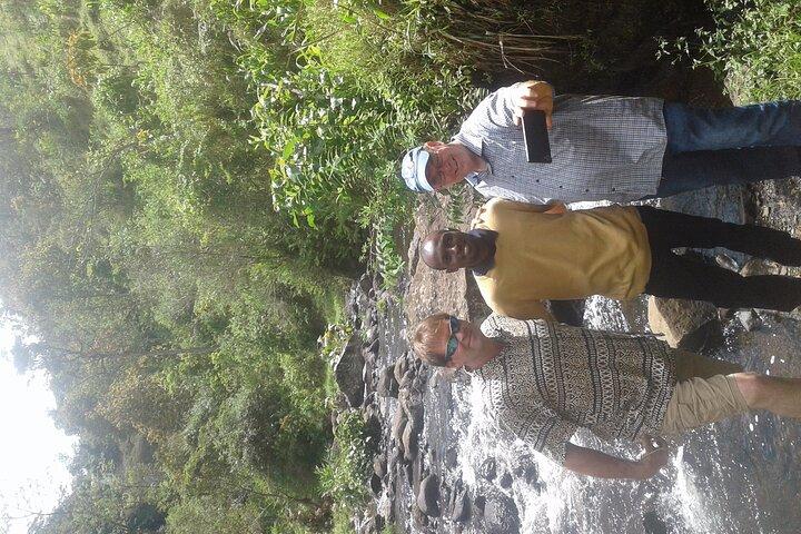 Day Trip Coffee Tour and Materuni Waterfalls