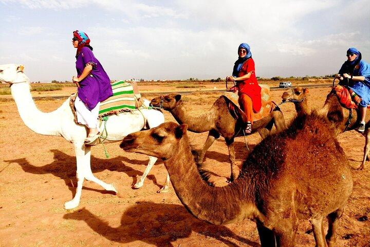Cultural Atlas mountains and Agafay desert day trip with camel ride