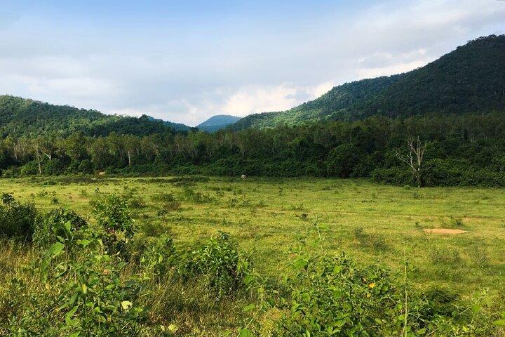 Elephant and Animal Watching in Kuiburi National Park - Join Afternoon Tour