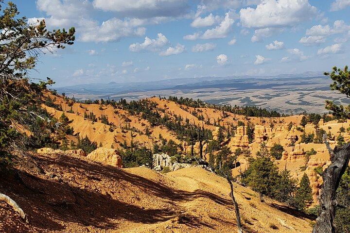 Ruby's Horseback Adventures Utah Thunder Mt. 4 Hour Ride