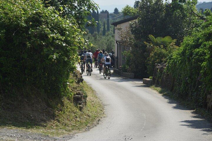 Slovenian coast Koper, Izola, Piran - Parenzana electric biking tour from Koper