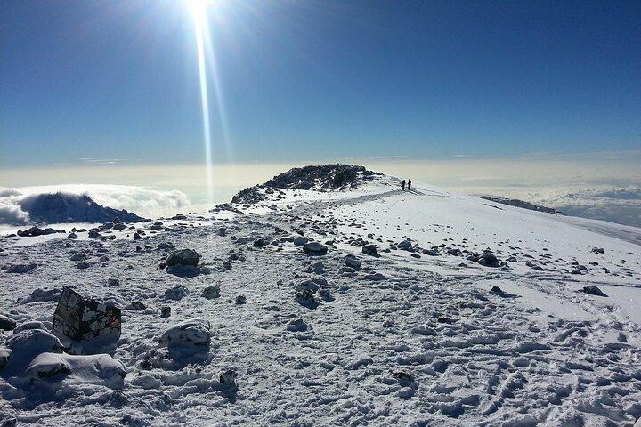 Climb Mt kilimanjaro Rongai Route 8Days/7Nights