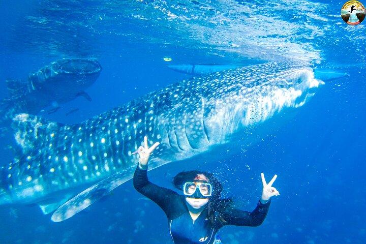 Oslob Whale Shark Swimming and Kawasan Falls Swimming Tour