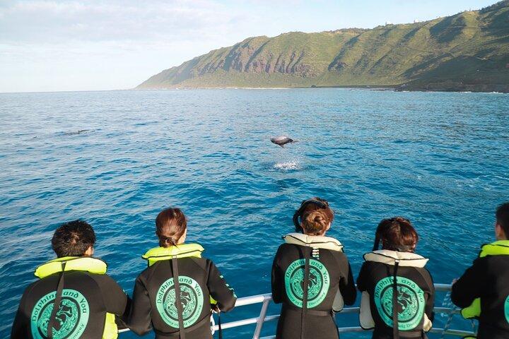 Oahu Dolphin and Snorkel Tour with Waikiki Pickup & Lunch
