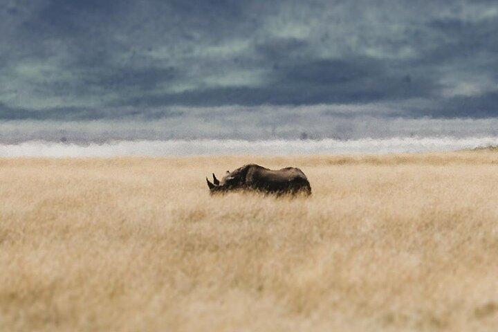 6 Day Migration Safari (Ngorogoro Crater Ndutu Central Serengeti