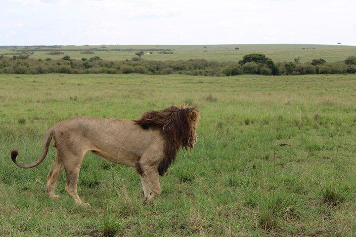 4-Day Safari Tour to Serengeti and Ngorongoro from Arusha