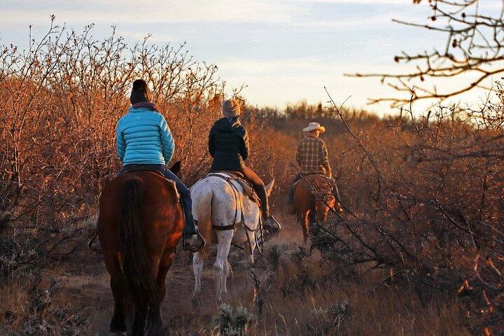 East Zion Checkerboard Evening Shadow Horseback Ride