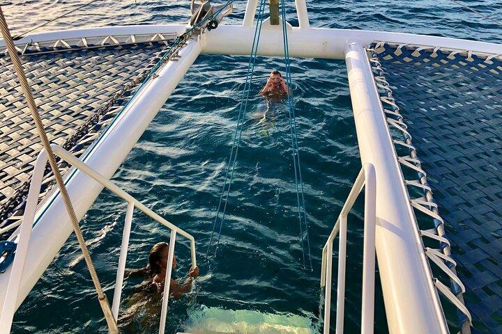 Moana’s Waikīkī Grand Guided Turtle Snorkel & Sailing Adventure