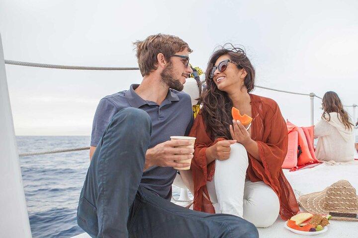 Whale Watching Tour in Los Cabos