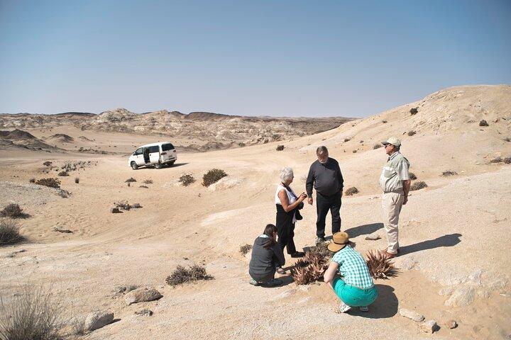 Welwitschia Tour from Swakopmund