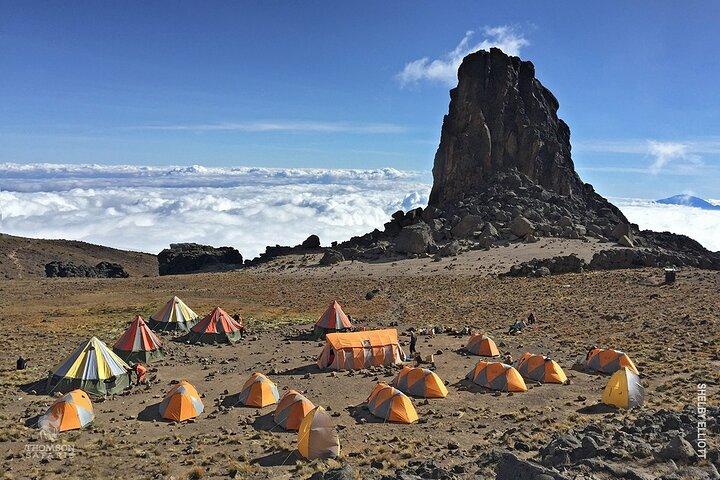 7 Day: Hiking Kilimanjaro via Lemosho Route