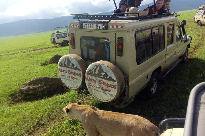 Tarangire National Park Private Day Tour