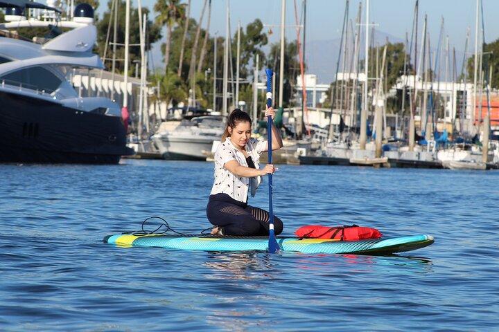 2-Hour Kayak or Paddleboard with Sea Lions in Marina del Rey