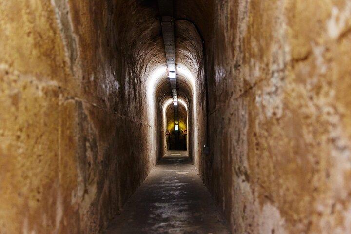 Rottnest Island Historical Train and Tunnel Tour from Hillarys Boat Harbour