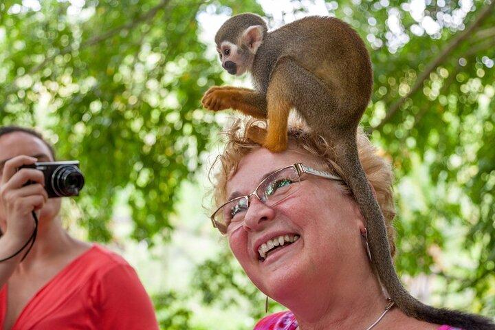 Punta Cana Monkeyland and Zipline Two Adventures in One Day