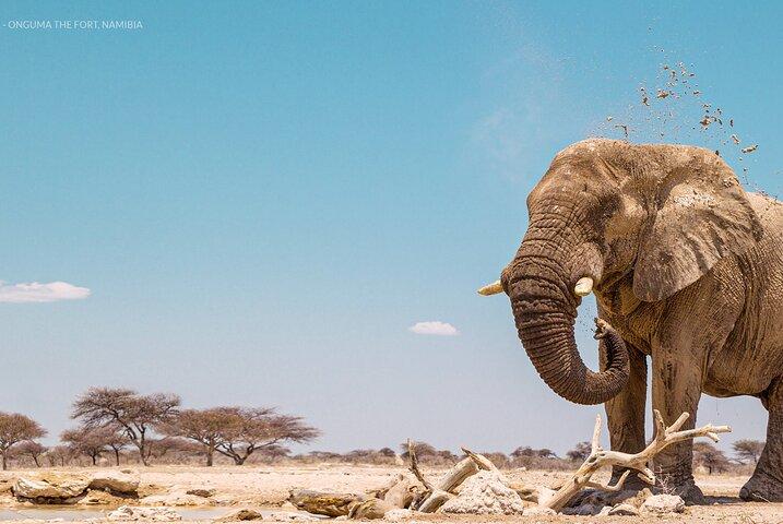 3 Days 2 Nights Group Joining Serengeti and Ngorogoro Safari