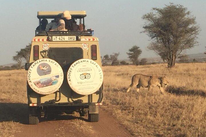6 Day Group Camping Safari Tarangire Serengeti Ngorongoro Manyara