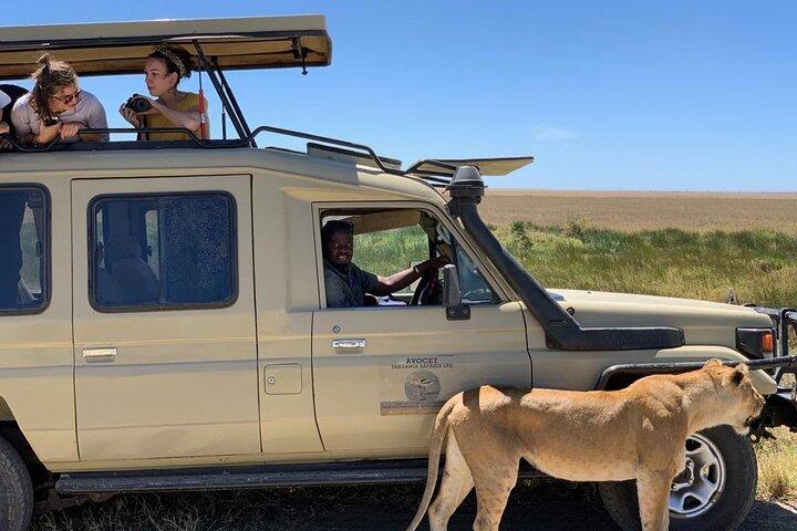 6 Day Group Camping Safari Tarangire Serengeti Ngorongoro Manyara
