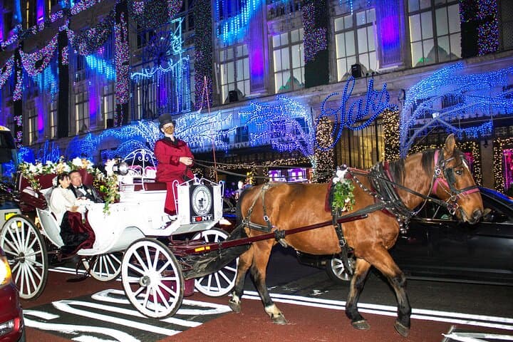 Magical Evening Horse-Drawn Carriage through NYC (65 min)