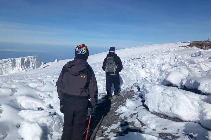 7- Day Kilimanjaro Mountain Hiking with Professional Guide