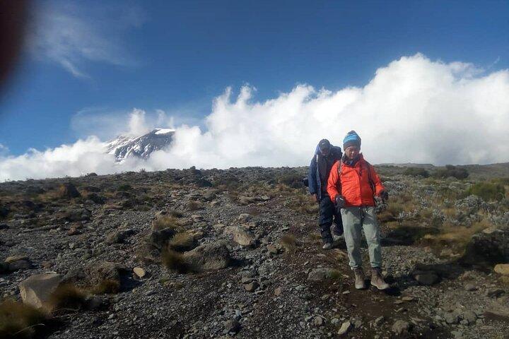 7- Day Kilimanjaro Mountain Hiking with Professional Guide