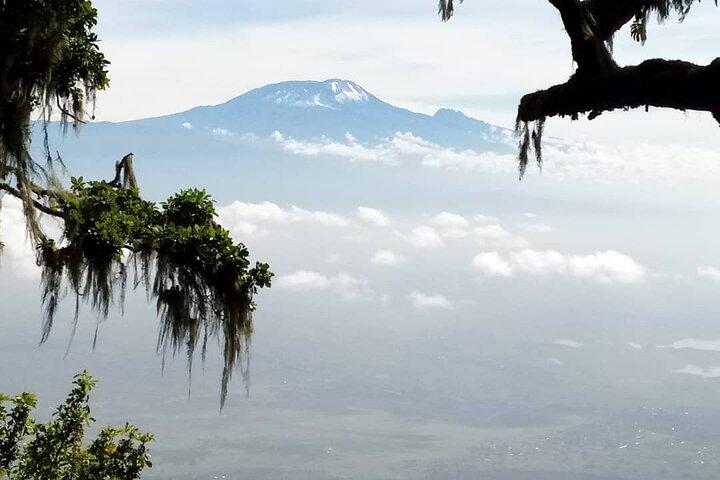 Small-group 7-day Lemosho Route Kilimanjaro Climb from Arusha