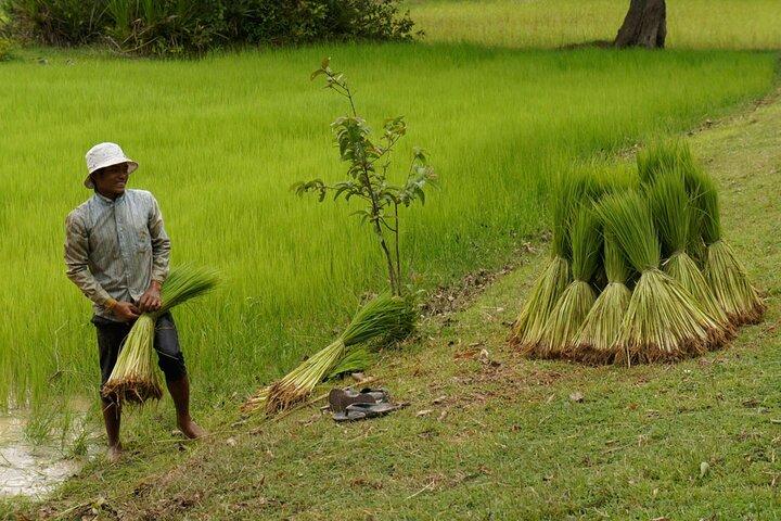 Village Life Tour from Siem Reap