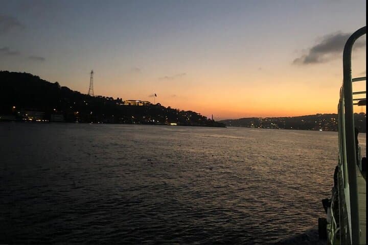 Bosphorus Explorer: 2-Hour Cruise Throughout the Day