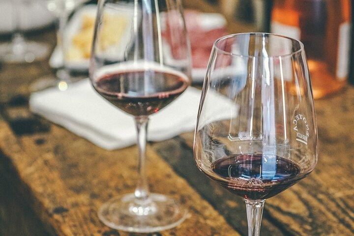 Private Langhe and Barolo Wine Tour from Milan