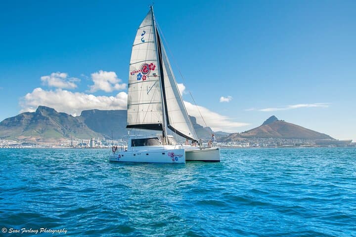 Sailing in The Bay by Catamaran (One Hour)