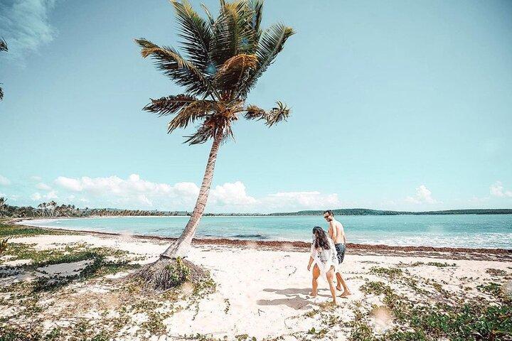 Snorkeling Tour to Vieques Island only 30 minutes away!