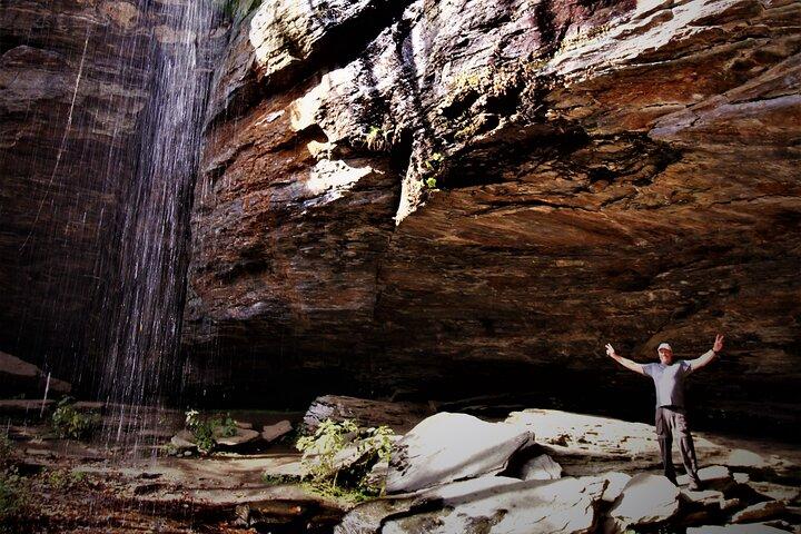 Waterfalls and Blue Ridge Parkway Hiking Tour with Expert Naturalist