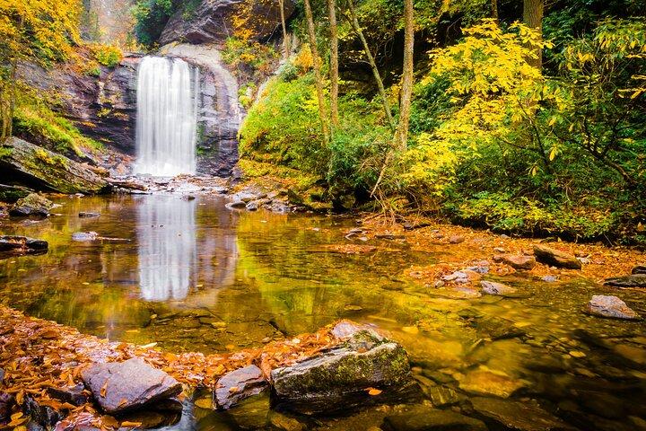 Waterfalls and Blue Ridge Parkway Hiking Tour with Expert Naturalist