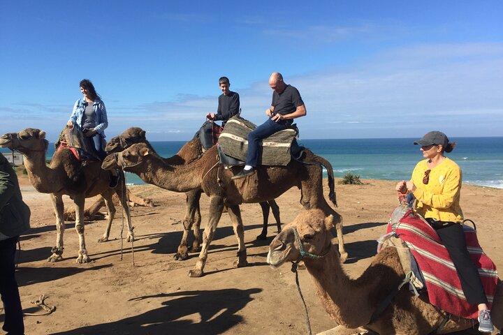 Tour of Tangier 3-6 people