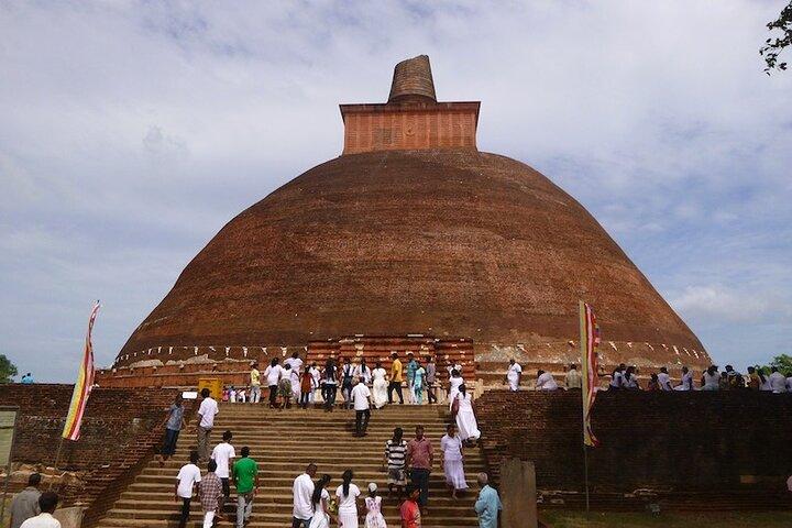 8-Day Sri Lanka Private Tour |Sigiriya, Kandy' Ella, Yala |Hotels