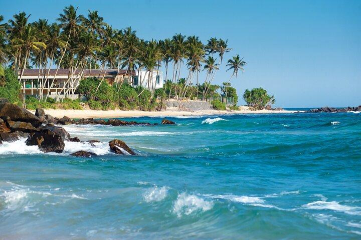 8-Day Sri Lanka Private Tour |Sigiriya, Kandy' Ella, Yala |Hotels