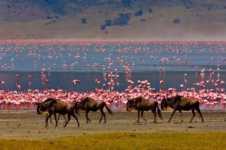 3-Day Private Budget Safari to Serengeti Np and Ngorongoro Crater