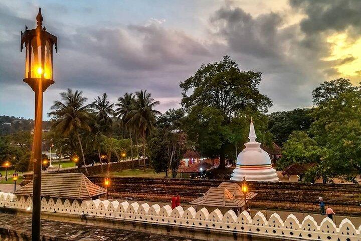 Kandy Sightseeing Day Tour from Negombo / Colombo / Bentota (All Inclusive)