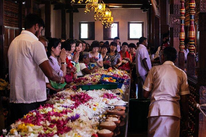 Kandy Sightseeing Day Tour from Negombo / Colombo / Bentota (All Inclusive)