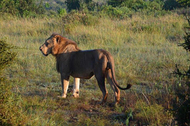 3-Day All inclusive Authentic Masai Mara Safari from Nairobi