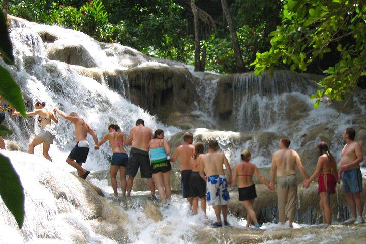 Dunn's River Falls & Luminous Lagoon Guided Tour from Montego Bay