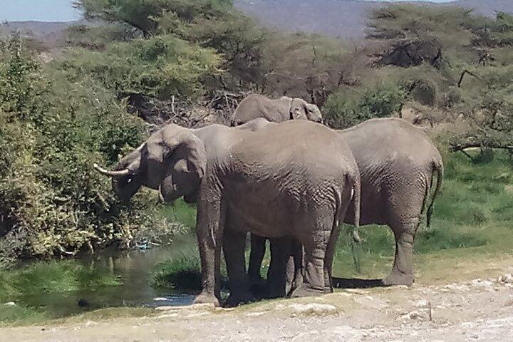 5 Days Safari to Samburu N/R, lake Nakuru N/P, Hells Gate N/P, Lake Naivasha.