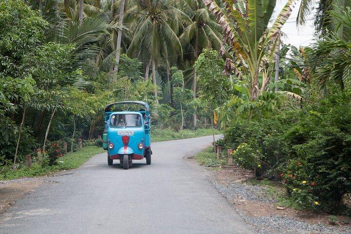 Private Mekong Delta Hideway Tour from Ho Chi Minh City